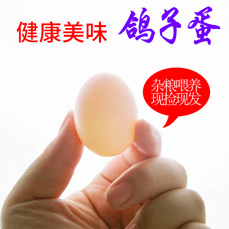 20Pcs Wholesale Farm Miscellaneous Grains Free Range Native Product White Dove Eggs Spot Supply Dove Eggs