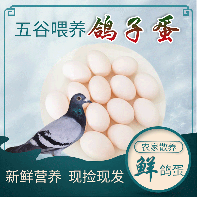 40 Pieces of Edible Local Specialty Pigeon Eggs, One Piece of Fresh Farm Grains, Free Range Pigeon Eggs, Free Shipping with Sf Express