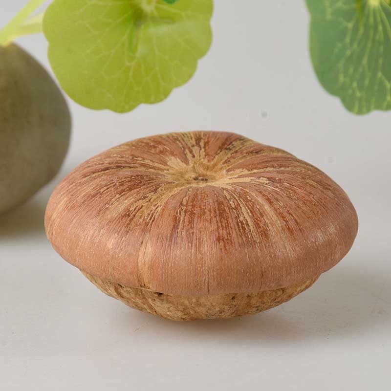 Wholesale of Chinese Medicinal Materials, Fengliu Fruit, Turtle Head, Health-Preserving Wine Ingredients, New Arrival of Vine Fruit, Kidney-Enhancing Wine Ingredients