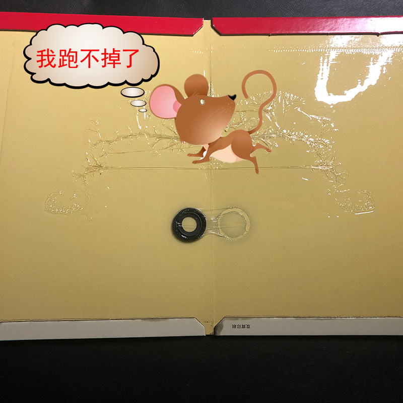 Zhengjin Super Strong Sticking Mouse Board Grasping Sticking Big Mouse Sticking Glue Dispensing Medicine Genuine Household Rodent Catching Artifact Buster