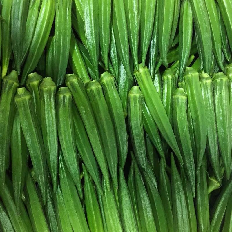 2.5kg Free Shipping, Fresh and Tender Vegetables, Ready-To-Eat Farm Carob Fruits, Freshly Picked and Grown