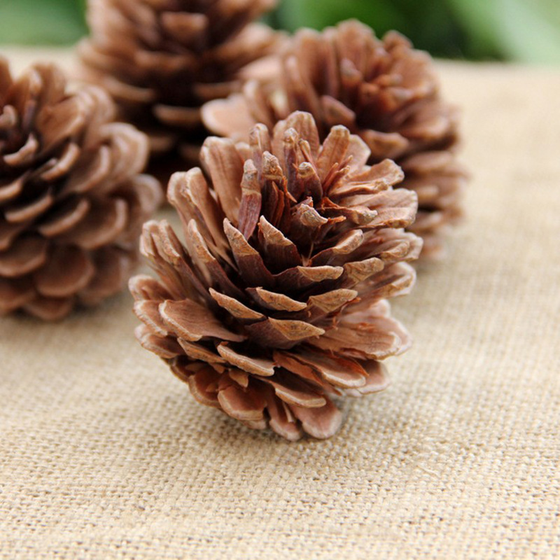 All kinds of pine nuts pine cones Lutong local pine cones northeast pine cones Christmas pendants indoor decorations manufacturers direct