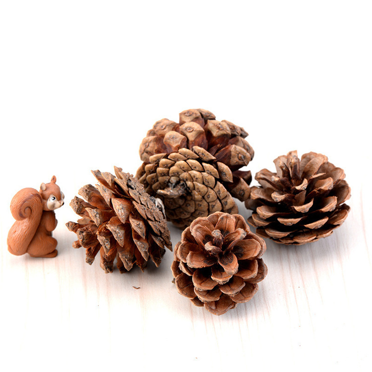 All kinds of pine nuts pine cones Lutong local pine cones northeast pine cones Christmas pendants indoor decorations manufacturers direct