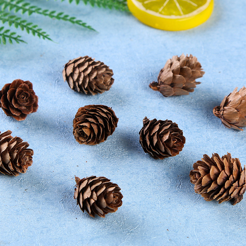 All kinds of pine nuts pine cones Lutong local pine cones northeast pine cones Christmas pendants indoor decorations manufacturers direct