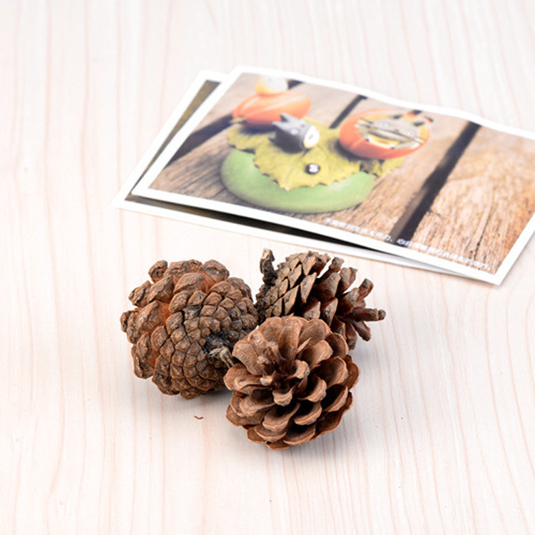 Factory Direct 2-8cm natural Northeast Pine pure artificial selection Christmas kindergarten props Northeast Pine fruit