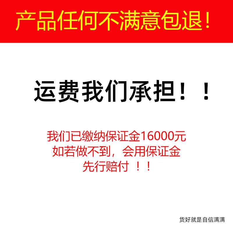 Outdoor Barbecue Lighter, Welding Torch, Butane Metal Cassette Spray Gun, Pig Hair Burning Flame Gun for Home Use