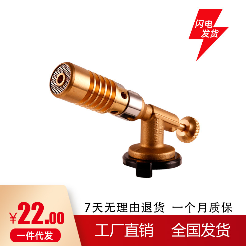 Outdoor Barbecue Lighter, Welding Torch, Butane Metal Cassette Spray Gun, Pig Hair Burning Flame Gun for Home Use