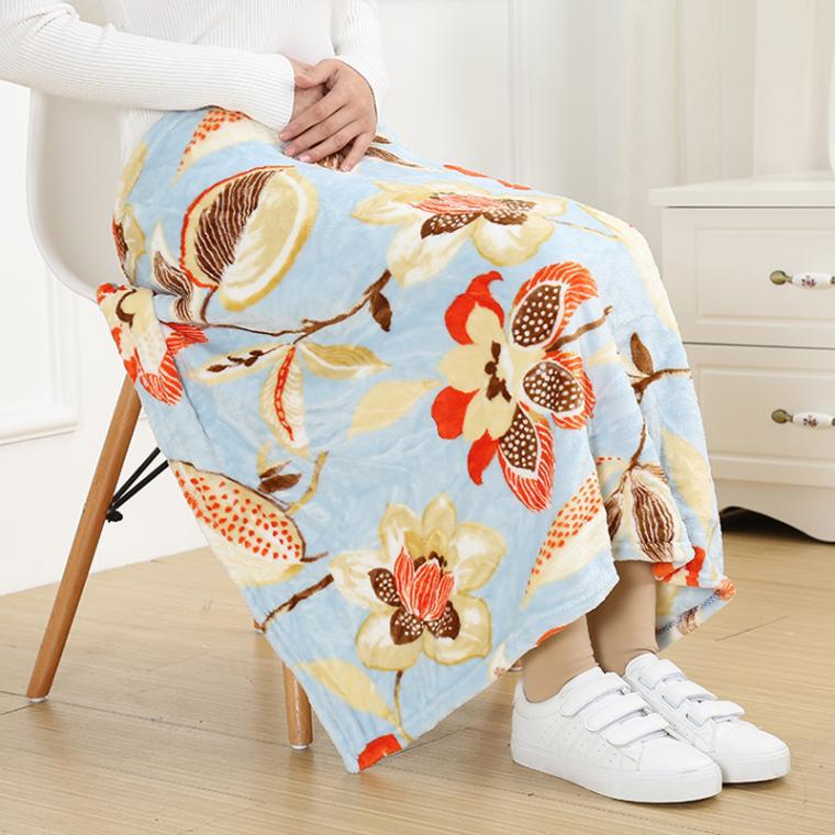 Factory Wholesale Blanket Coral Blanket Velvet Flannel Blanket Children Blanket Air-conditioning Blanket Lunch Break Blanket Pet Blanket