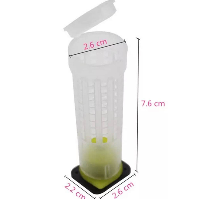 Wangtai Protective Cover, Queen Bee Wangtai Yuwang Complete Set of Insect-Free Insect Breeding Device, Insect Breeding Cover