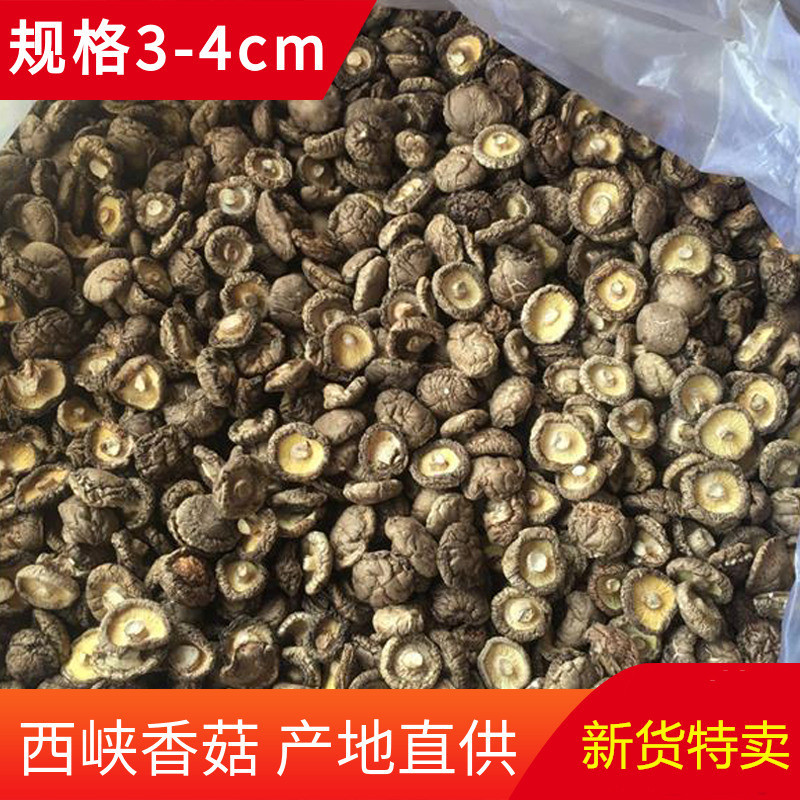 Новые сушеные шиитаке, тонкие грибы, оптовая продажа, ароматные грибы