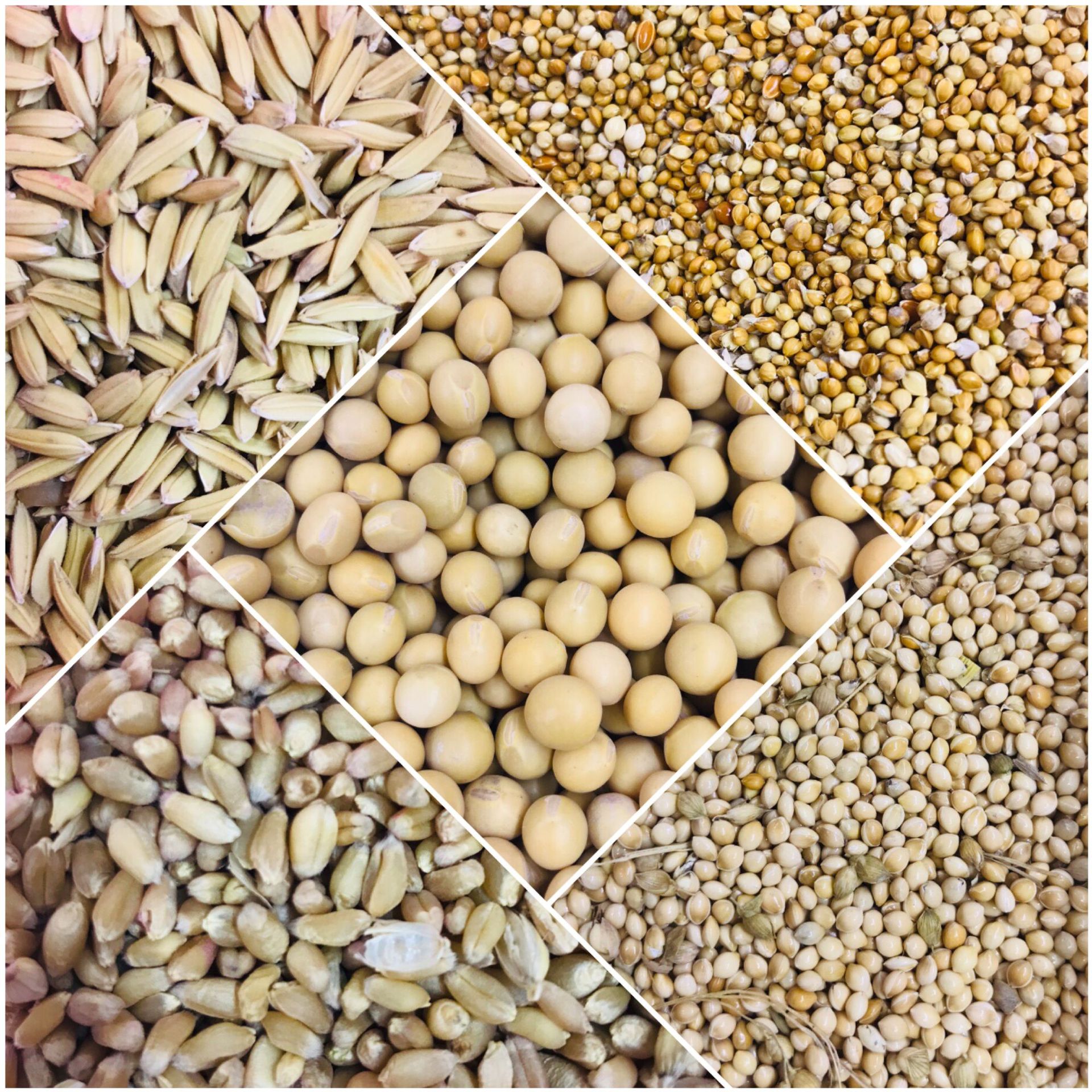 God and Buddha Statue Storage Set, Bagged for General Use, Seven Gemstones, Five Grains, Gold and Silver Ingots, Five-Color Earth Ornaments, Lucky Bag