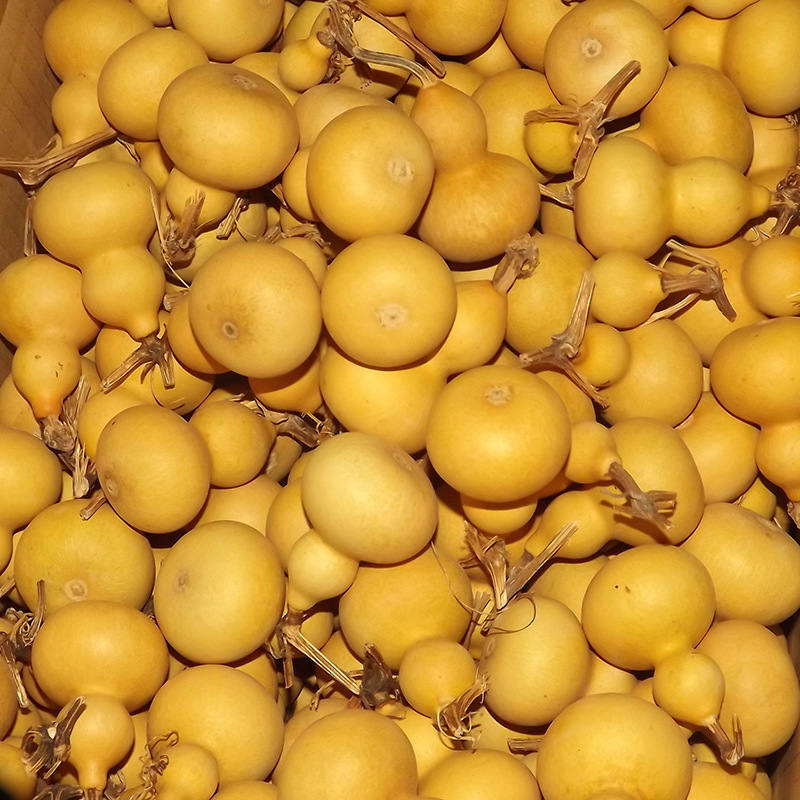 Supply hand-twisted gourd Mini small gourd with faucet to play with pieces of text play craft gourd gourd