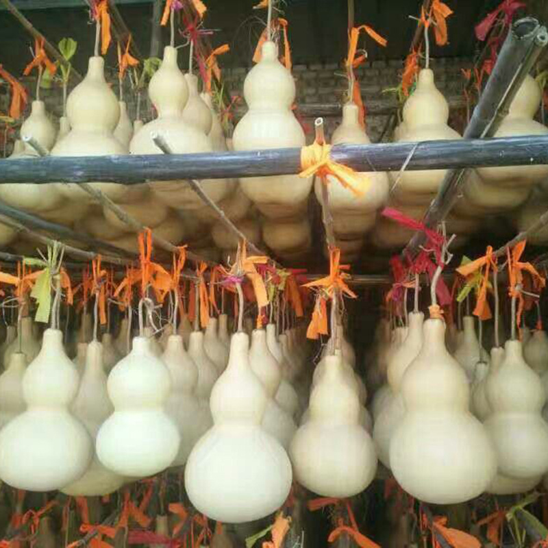 Wholesale sales of vegetarian gourd hand-twisted gourd stalls play small gourd with faucet American gourd