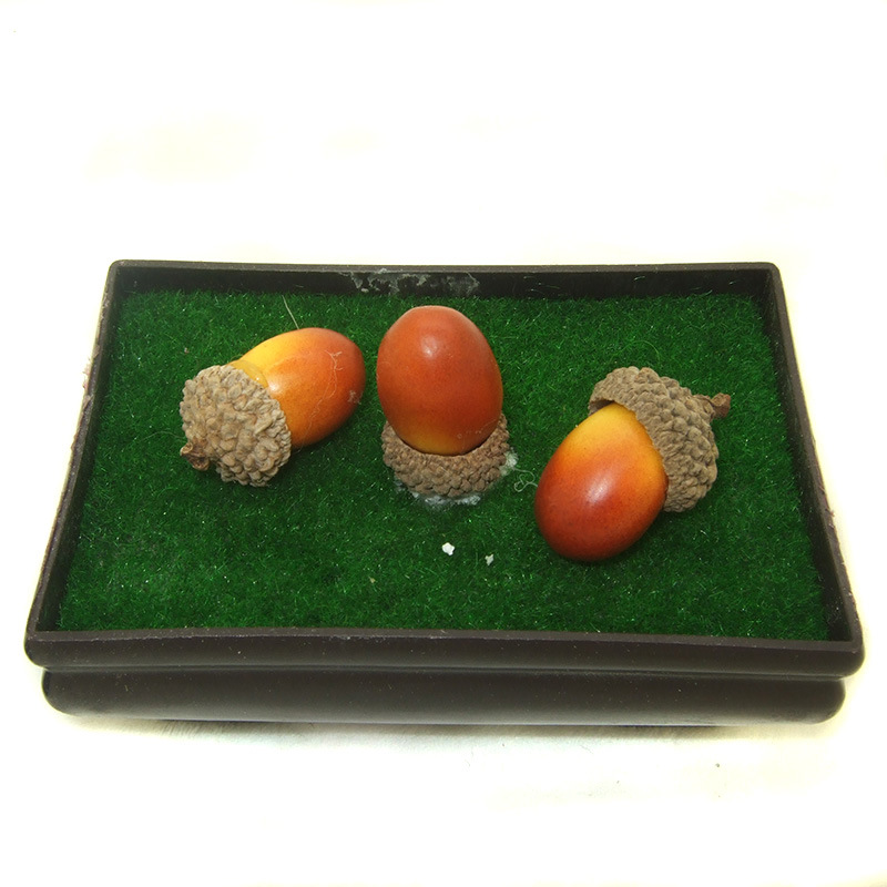 2.0 High Artificial Small Acorn Fake Chestnut Acorn Pine Cone Real Shell Hazelnut Ornament Christmas Decoration in Stock