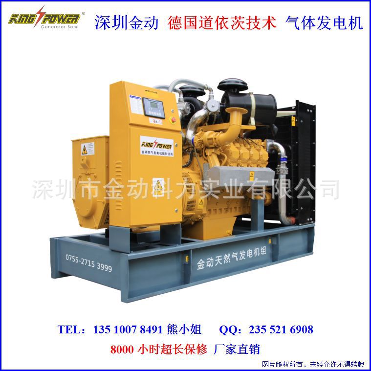 Uninterruptible Operation of Mine Factory Self-Use House Backup 100Kw200Kw250Kva Natural Gas Generator Set
