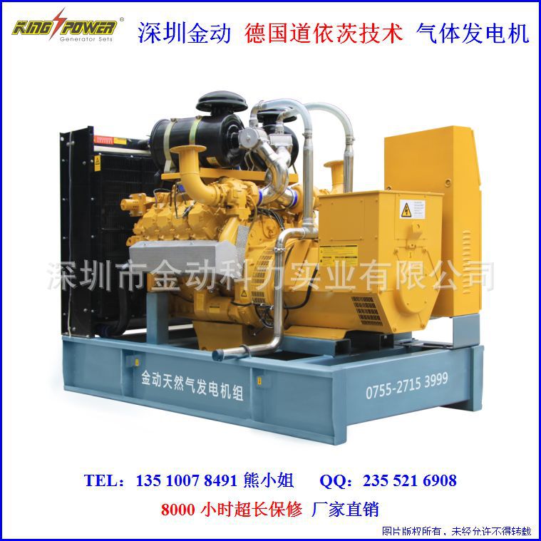 Uninterruptible Operation of Mine Factory Self-Use House Backup 100Kw200Kw250Kva Natural Gas Generator Set