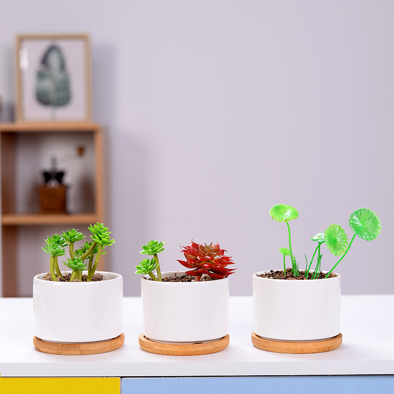 Ceramic Fleshy Flower Pot Creative Indoor Desktop White Pot Modern Home Gardening Cross-border White Porcelain Flower Pot Printable Logo