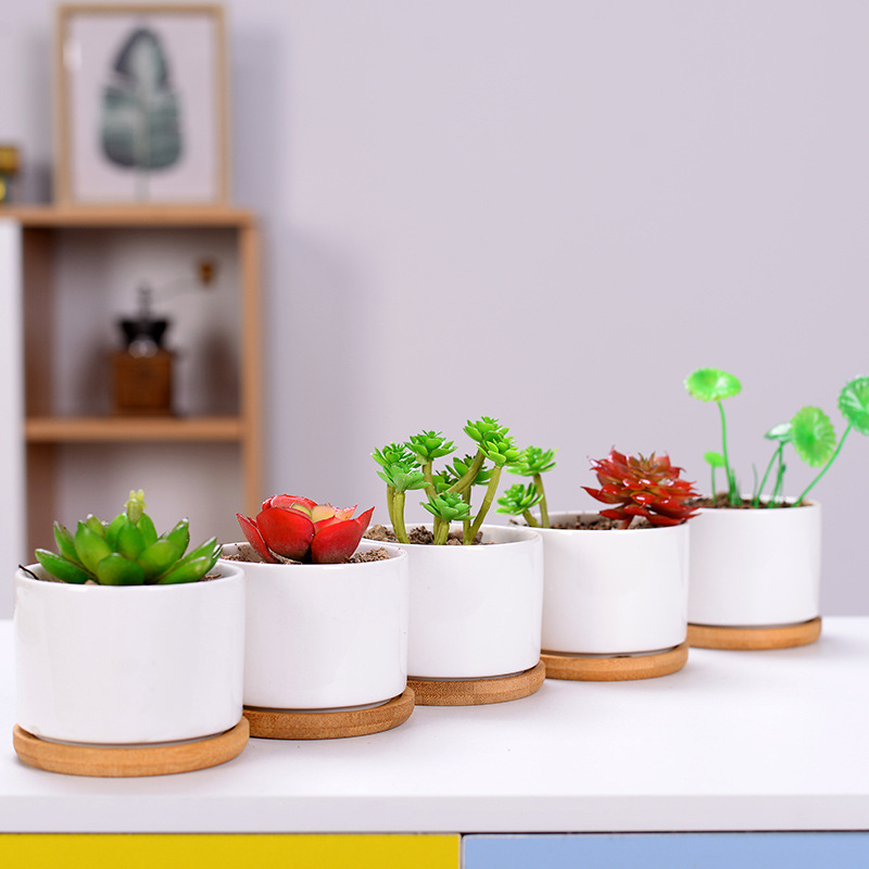 Ceramic Fleshy Flower Pot Creative Indoor Desktop White Pot Modern Home Gardening Cross-border White Porcelain Flower Pot Printable Logo