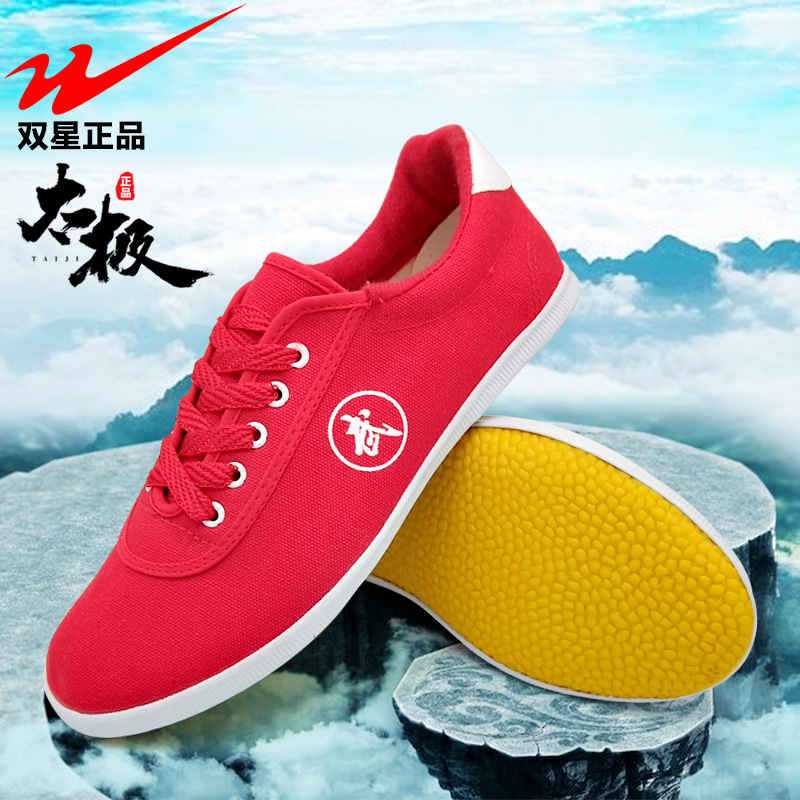 Double Star Taiji Shoes Martial Arts Shoes Men's and Women's Sports Shoes Beef Sole Exercise Shoes Children's Martial Arts Taekwondo Shoes Performance Shoes