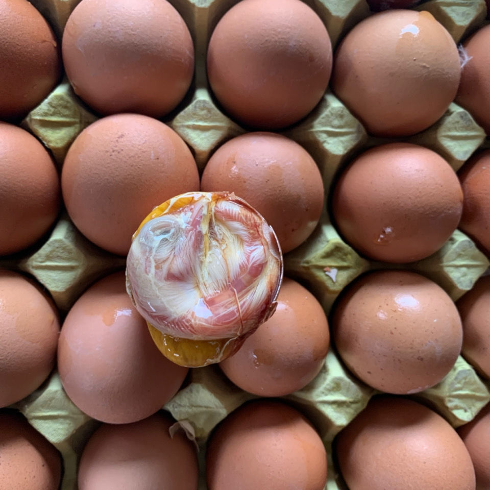 40 Pieces Free Shipping for 13 Days Farm Fresh Eggs, Embryonated Eggs, Happy Eggs, Prosperous Eggs, Live Beads, Phoenix Eggs