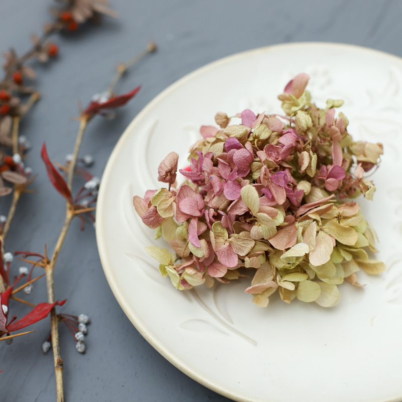 Eternal Flower diy Wholesale Material Preserved Flowers Dried Flower Tower Hydrangea Manufacturers Deliver Class B Hydrangea 2G Pack