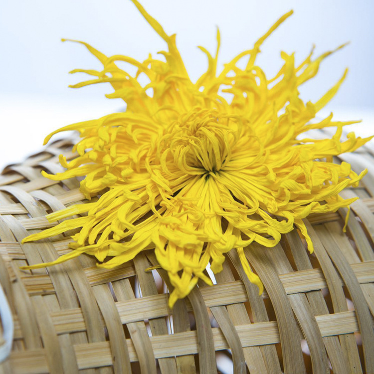 Factory supply golden silk Emperor chrysanthemum chrysanthemum one Cup chrysanthemum tea independent packaging wholesale large quantity and excellent price