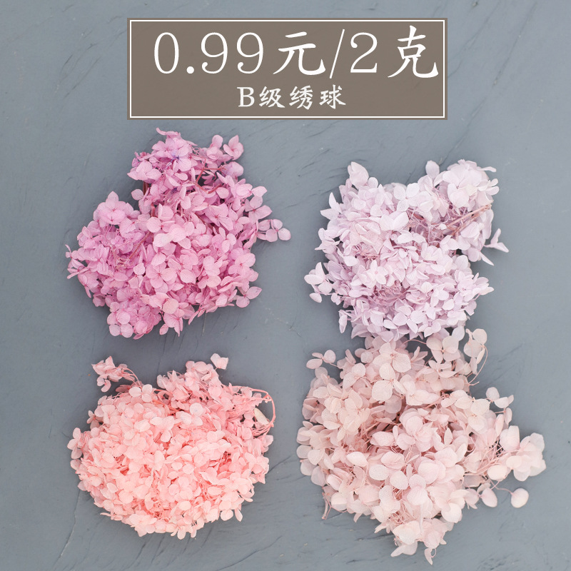 Вечный цветок DIY оптовые материалы сохраненные цветы сухие цветы башня гортензии производители поставляют класс B гортензия 2G упаковка