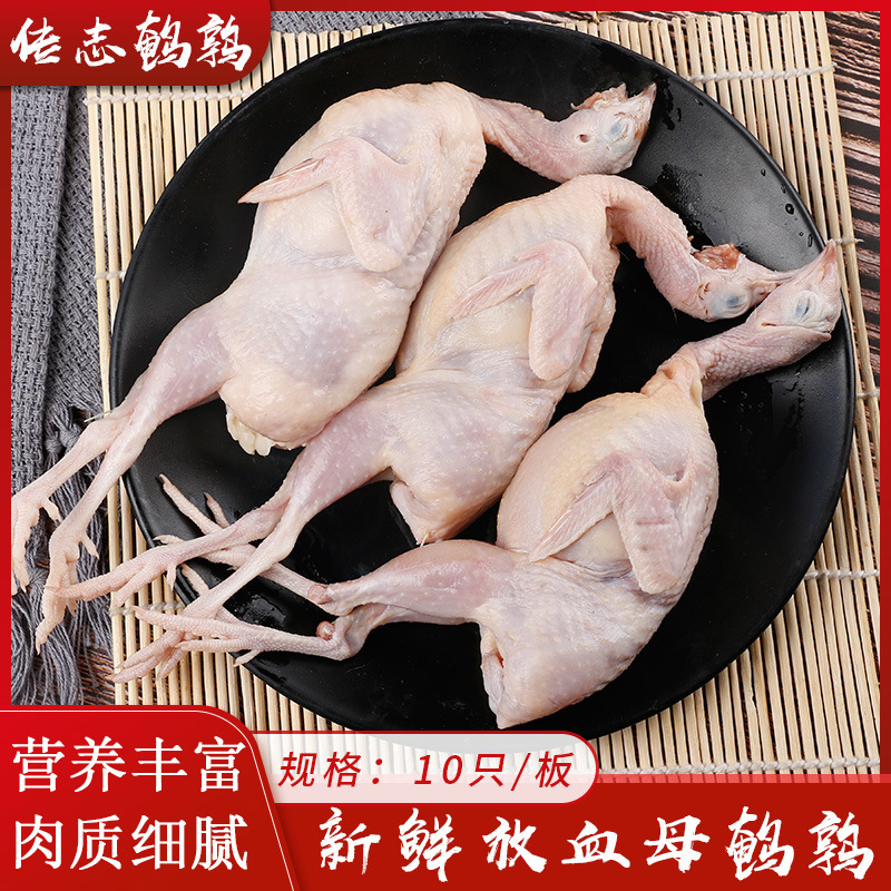 Мясо перепела, свежая мясо перепела, замороженное, живое, жареное барбекю, тушеное мясо