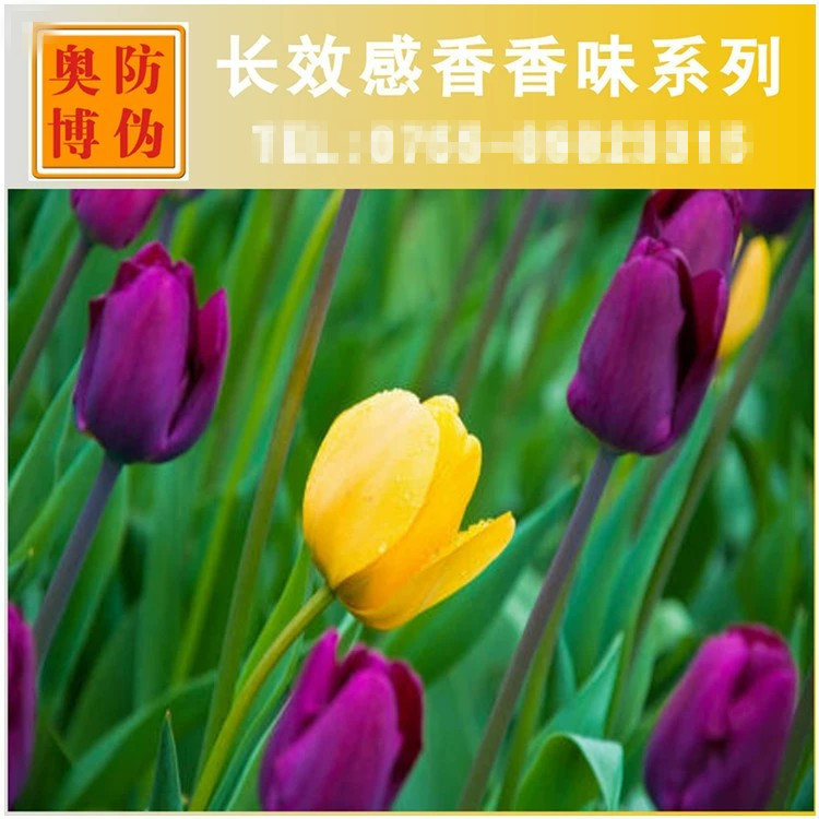 Card Scented Ink Uv Printing Oily Long-Lasting Transparent Scented Varnish Jasmine Scented Paint Coating