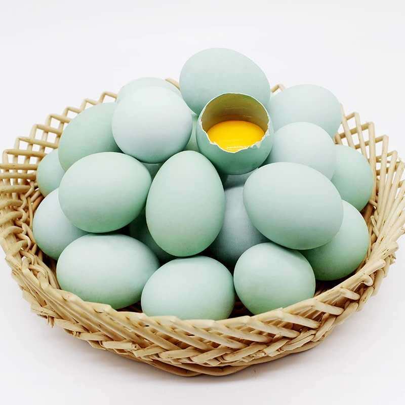 50 Free Shipping Green Shell Farm Free Range Eggs Green Shell Eggs Fresh