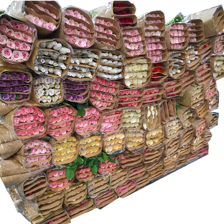 Yunnan Kunming Rose Flower Wholesale Goddess Day Gift Direct Batch Flower Shop Wedding Venue Layout Flowers