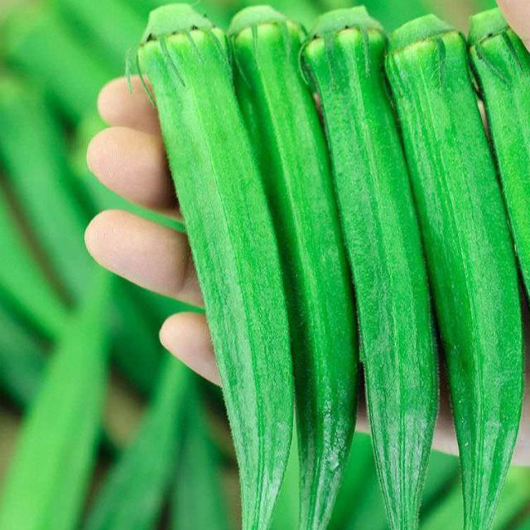 2.5kg Free Shipping, Fresh and Tender Vegetables, Ready-To-Eat Farm Carob Fruits, Freshly Picked and Grown