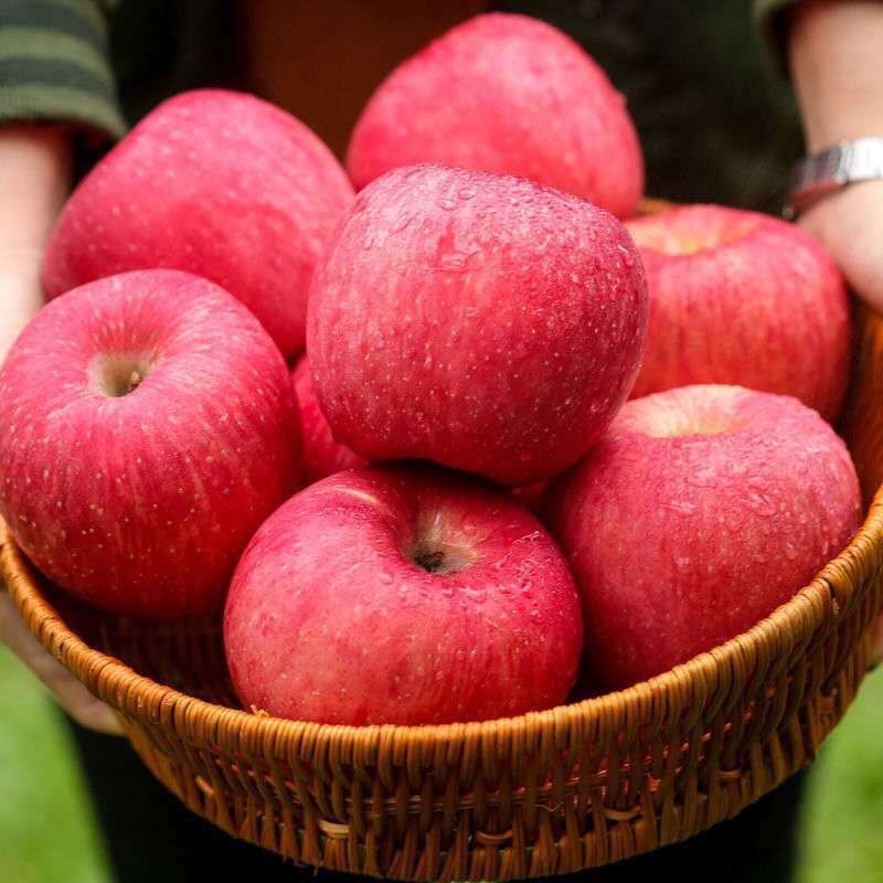 Shaanxi Luochuan Red Fuji Apples, Seasonal Fresh Fruit for Pregnant Women, Crisp and Sweet, Whole Box, Wholesale from the Place of Origin, Dropshipping