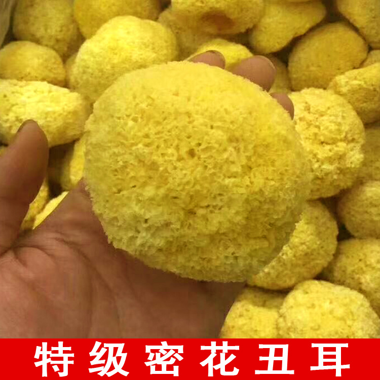 Silver ear dry goods white fungus bulk wholesale ugly ear glutinous ear snow ear origin direct supply Gutian origin direct sales 500g