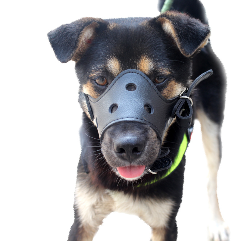 Factory wholesale dog mouth set Medium Small large to prevent dogs barking anti-bite dog mask pet supplies a generation of hair