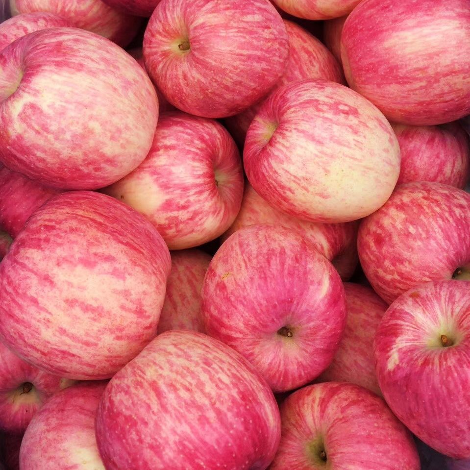 Shaanxi Luochuan Red Fuji Apples, Seasonal Fresh Fruit for Pregnant Women, Crisp and Sweet, Whole Box, Wholesale from the Place of Origin, Dropshipping