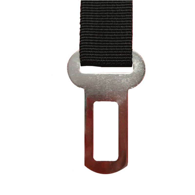 Factory Direct Sales Pet Car Traction Rope Insert Pet Insurance Safety All-Metal Buckle 25 mm Accessories