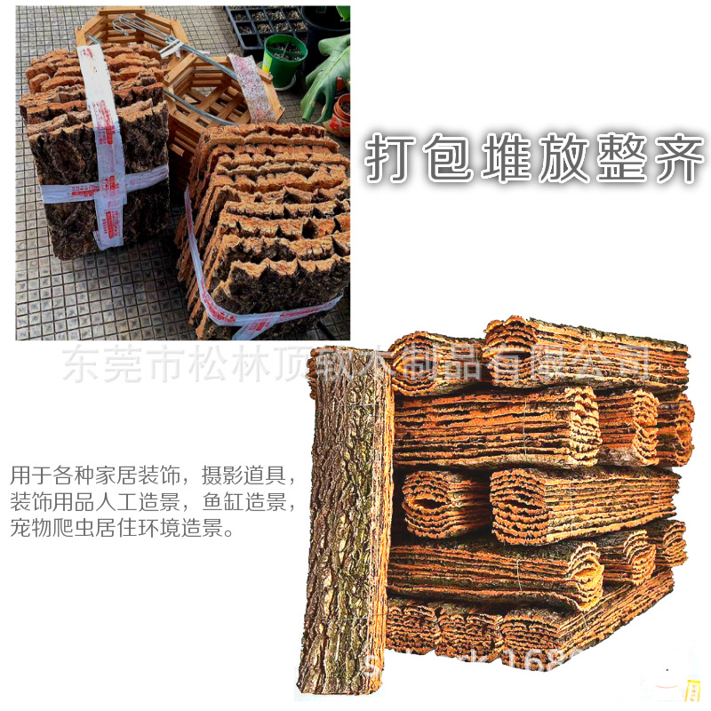 Champagne bark aquarium rainforest tank climbing pet feeding escape cork landscaping real bark background plate Dendrobium planting