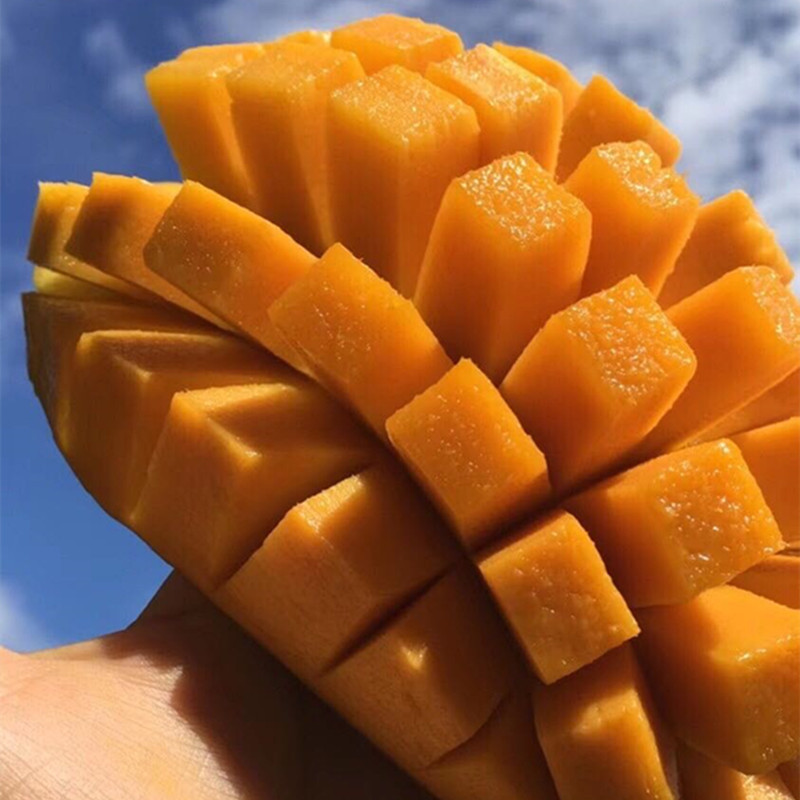 [Panzhihua Kate Mango Big Face Mango] Seasonal Fresh Fruit 5kg Whole Box Non-Large Green Mango Dropshipping