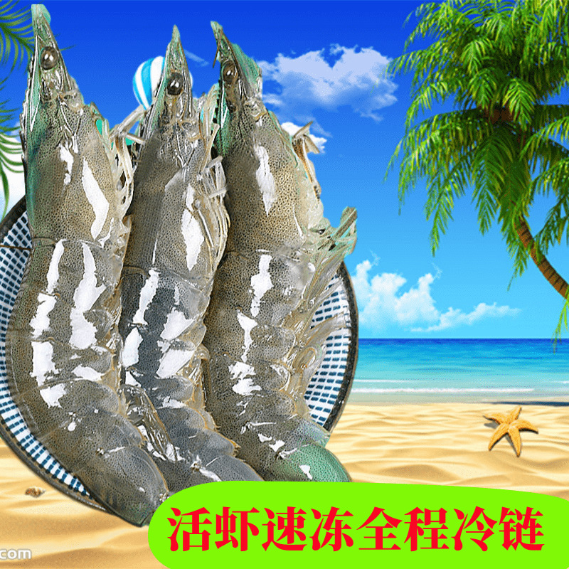 Domestic Fresh Frozen Sea-Caught Prawns, Base Shrimp, Frozen Shrimp, White Prawns, Green Prawns, Sea Prawns, Fresh Seafood Cold Chain Transportation
