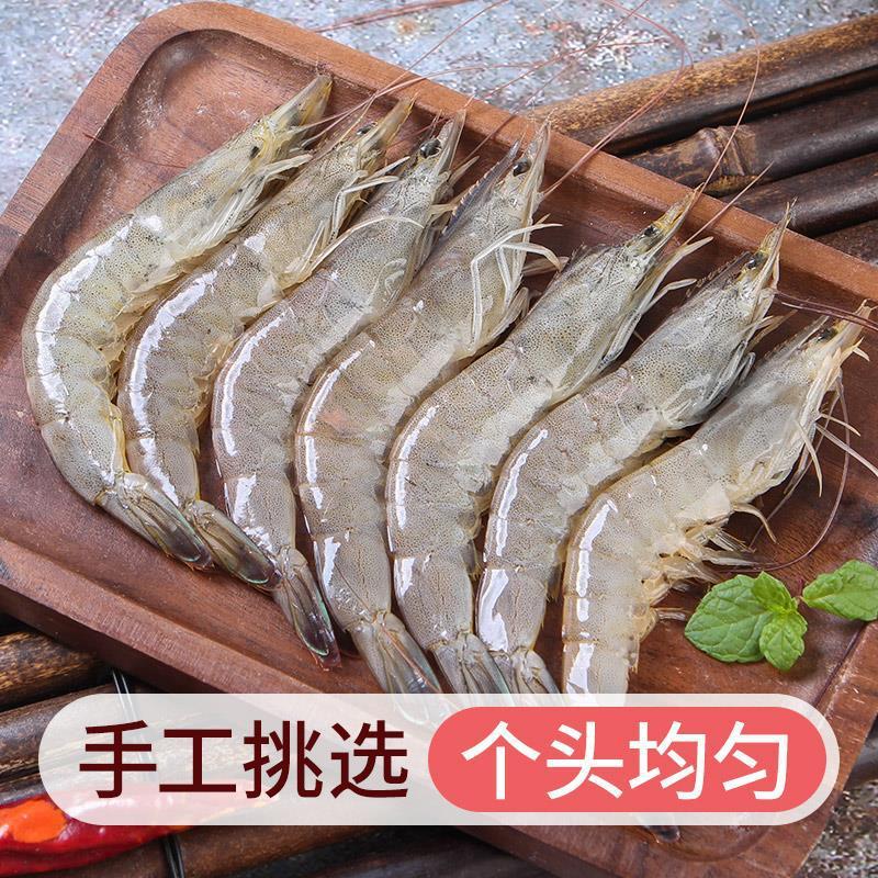 Domestic Fresh Frozen Sea-Caught Prawns, Base Shrimp, Frozen Shrimp, White Prawns, Green Prawns, Sea Prawns, Fresh Seafood Cold Chain Transportation