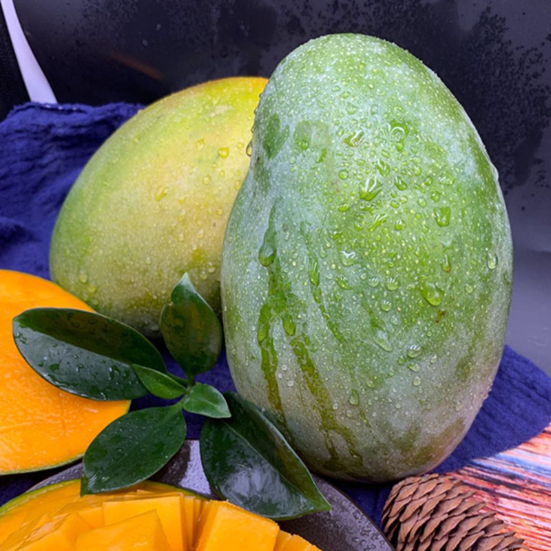 [Panzhihua Kate Mango Big Face Mango] Seasonal Fresh Fruit 5kg Whole Box Non-Large Green Mango Dropshipping