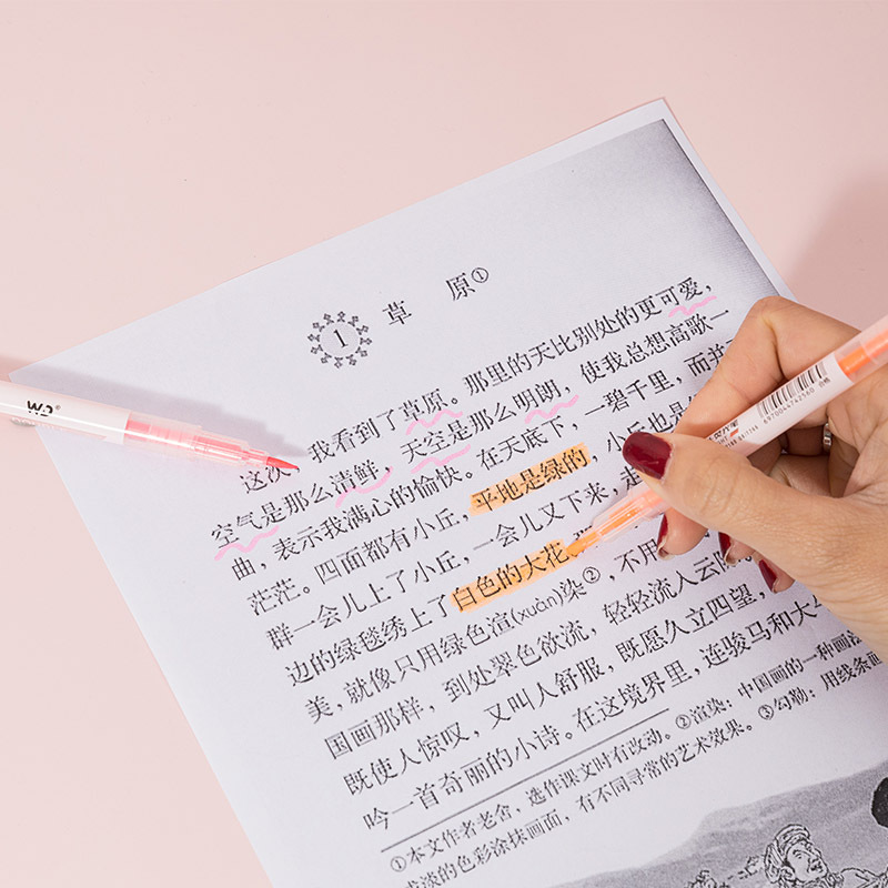 Double-head Highlighter Fluorescent Marker Pen Students Use Marker Pen to Take Notes in Color