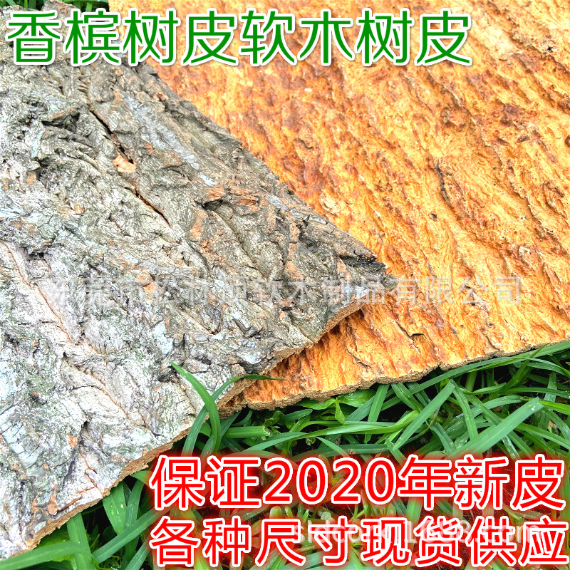 Champagne bark aquarium rainforest tank climbing pet feeding escape cork landscaping real bark background plate Dendrobium planting