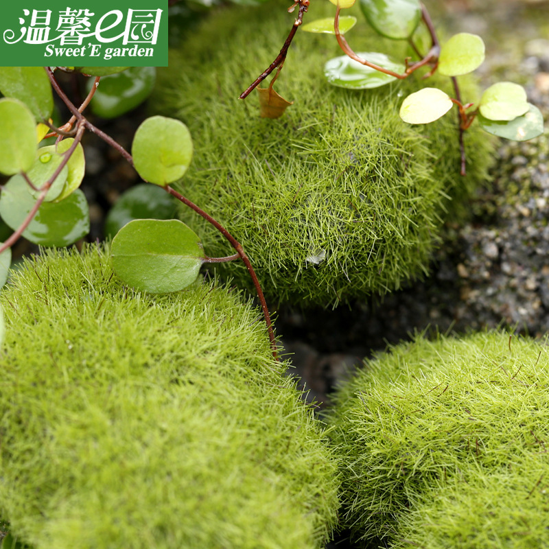 Simulated Moss Moss Stone Flocked Stone Moss Lawn Micro Landscape Ornament Decoration Simulated Fake Stone