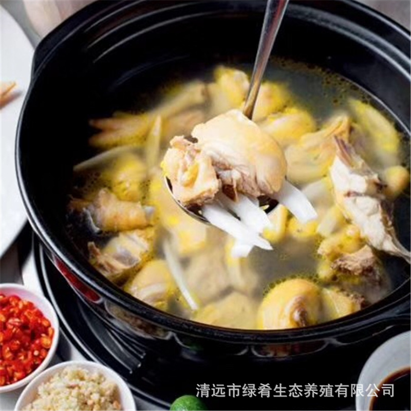 280-Day Guangdong Qingyuan Yangshan Crispy Chicken, Crispy Old Hen, 280-Day Crispy Qingyuan Chicken, Huashi He Tian Chicken