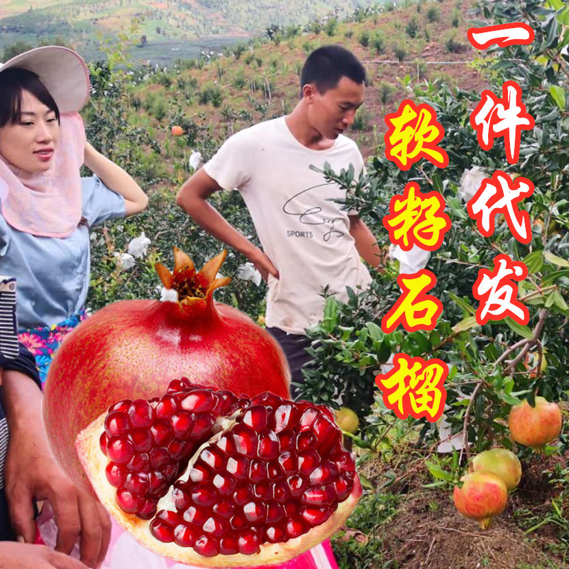 Свежесобранный гранат Тунисский мягкосеменной из Сычуани, свежий гранат из сада