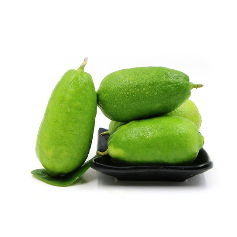 Guangdong Perfume Lemon Seedless Green Lemon Tropical Fresh Fruit First-Class Hainan Lemon Wholesale Milk Tea Shop Exclusive
