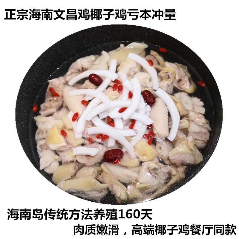Wenchang Chicken Wholesale Hainan Wenchang Chicken Coconut Chicken Wholesale Source Direct Supply Restaurant Anchor E-commerce Supply Chain