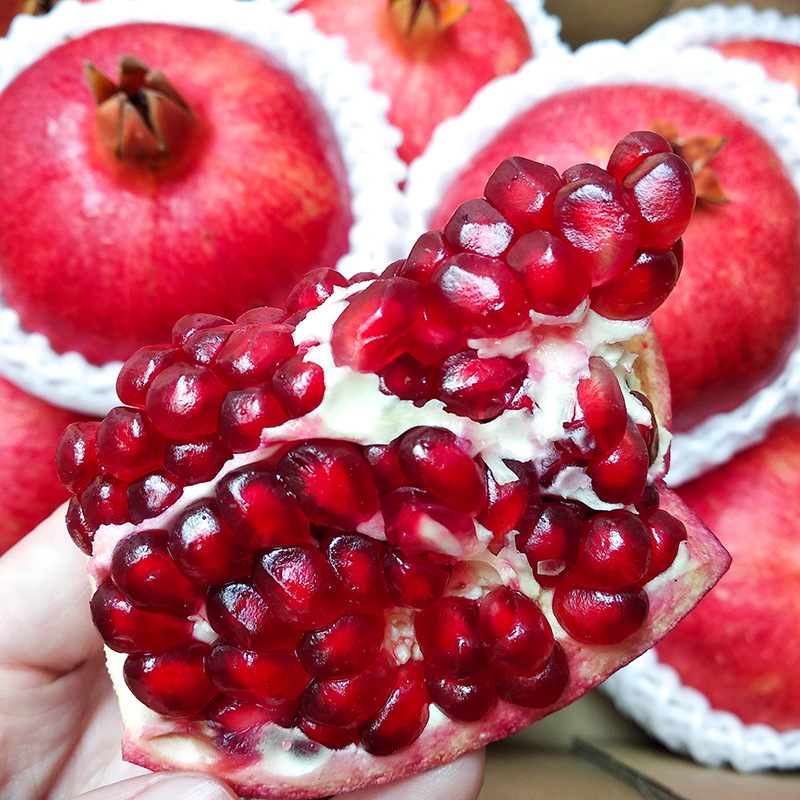 Sf Express Sichuan Hui Pomegranate Tunisian Soft Seed Pomegranate Freshly Picked Origin Dropshipping Pure Sweet Juicy